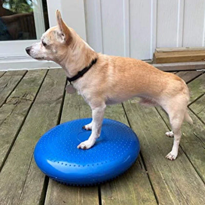 Disque d'Équilibre Gonflable pour Chien Agility 36 cm