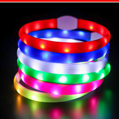 Collier LED Étanche USB pour Chien