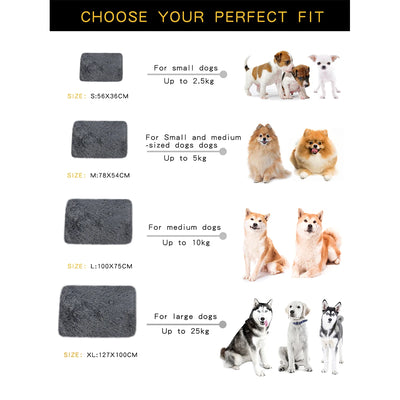Tapis Moelleux Chien Ultra Doux Grand Format
