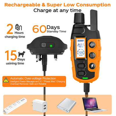 Collier Électrique de Dressage Télécommande 1000 m Rechargeable