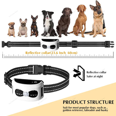 Clôture Électronique 2-en-1 Gros Chien Sans Fil