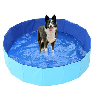 Piscine pour Chien 160 cm Pliable avec Vidange