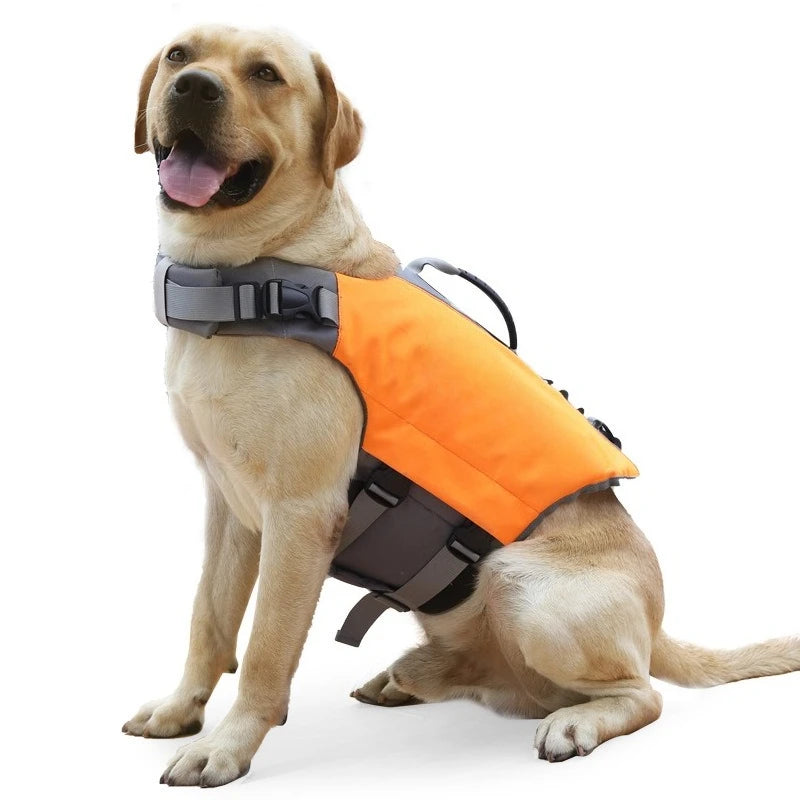 Gilet de Sauvetage pour Chien Grande Taille Poignée de Sauvetage