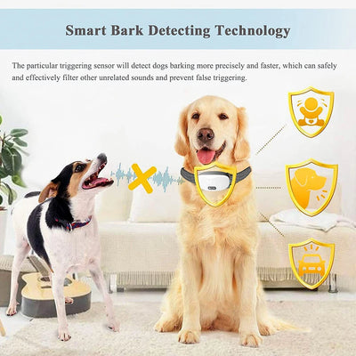 Collier Anti-Aboiement LED Gros Chien Intelligent