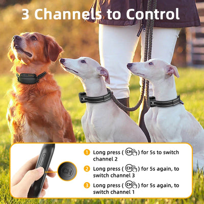 Collier Électrique de Dressage 1000 m IPX7 3 Canaux Chien