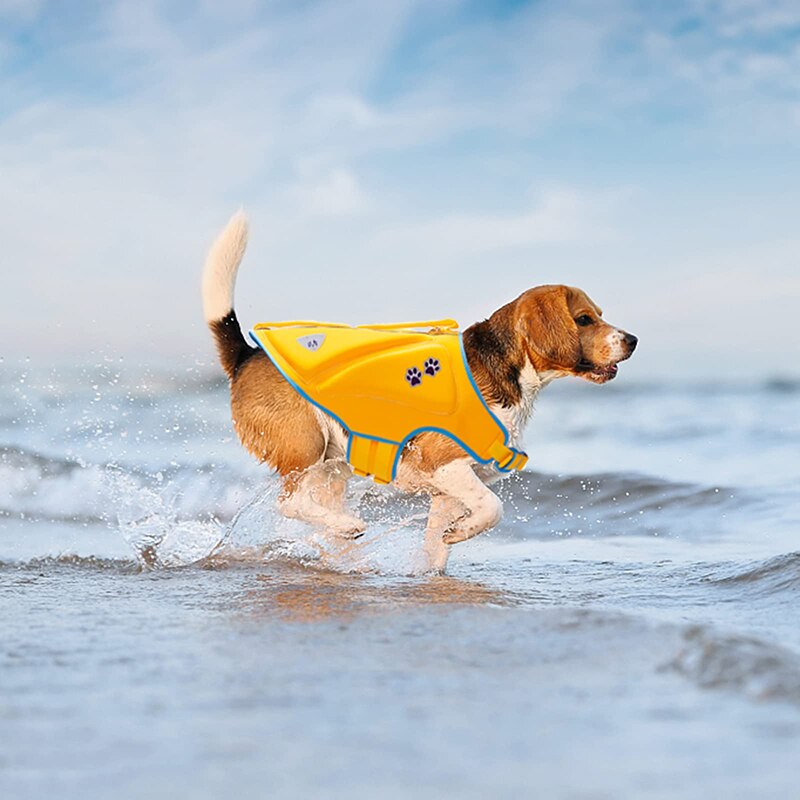 https://cdn.shopify.com/s/files/1/0763/9767/4819/files/Gilet_de_baignade_pour_chien.png?v=1753792680