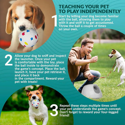 Lanceur de Balles Chien Automatique Portée Réglable