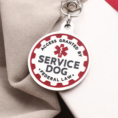 Médaille Chien de Service et ESA à Clipser