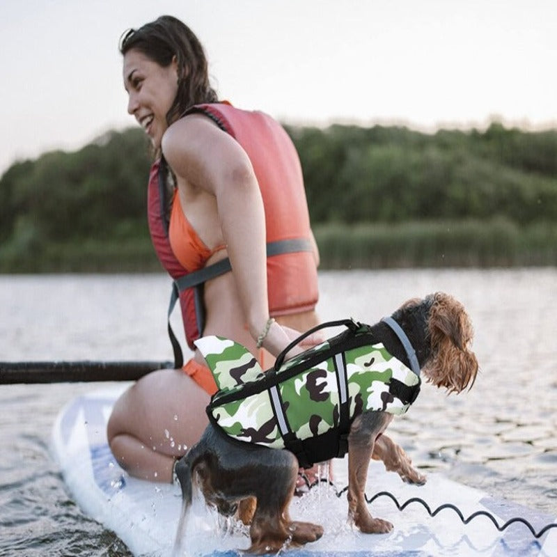 https://cdn.shopify.com/s/files/1/0763/9767/4819/files/Gilet_de_nage_pour_chien_dans_l_eau.png?v=1753792119