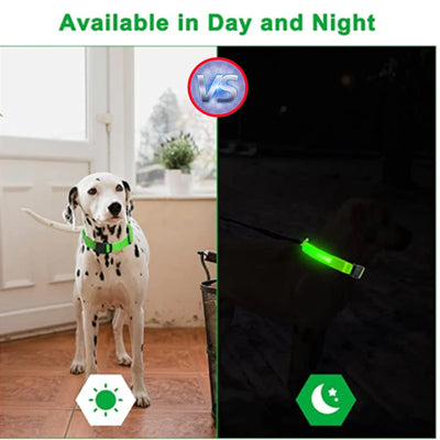 Collier Lumineux LED Rechargeable USB Nylon Grand Chien