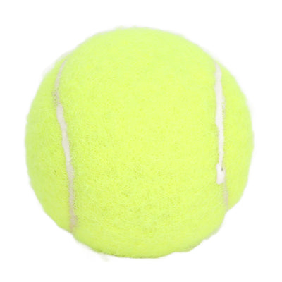 Lanceur de Balle Automatique Chien Rechargeable 3 Modes Menthe