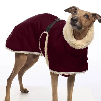 Manteau Imperméable Lévrier Greyhound Doublé Polaire Col Haut