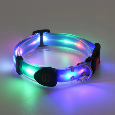 Collier et Laisse LED Lumineux pour Chien