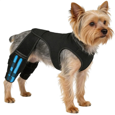 Attelle Chien 4 Stabilisateurs Métalliques Soutien Pattes Arrière