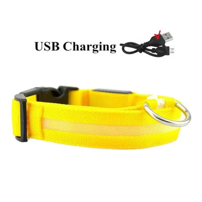 Collier LED Haute Visibilité Rechargeable Chien