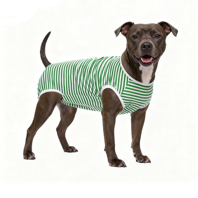 Body Post-Opératoire Chien Alternative Collerette Grande Taille