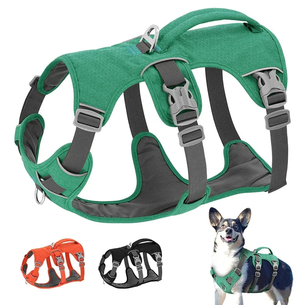 https://cdn.shopify.com/s/files/1/0489/2898/1148/files/S597c508dffa54824bb9b96649440c091c.webp?v=1742913765