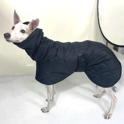 Manteau d'Hiver Noir Col Montant Lévrier Greyhound
