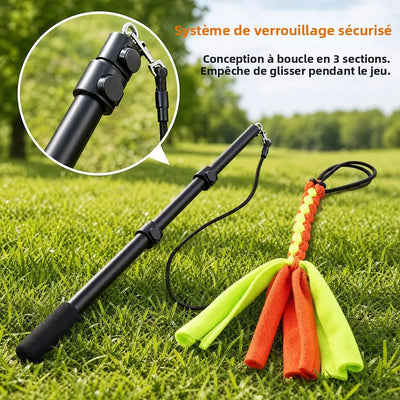Flirt Pole Chien Réglable 42-100 cm Deux Jouets Corde