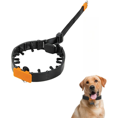 Collier à Dents Anti-Traction Noir Embouts Silicone Grand Chien