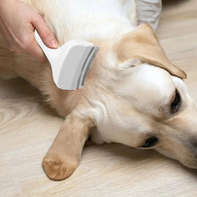 Brosse Démêlante Toilettage pour Chien
