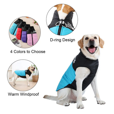 Manteau Imperméable Rembourré Grand Chien Golden Retriever