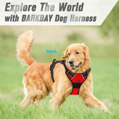 Ensemble Collier Harnais Laisse Simili Cuir Chien