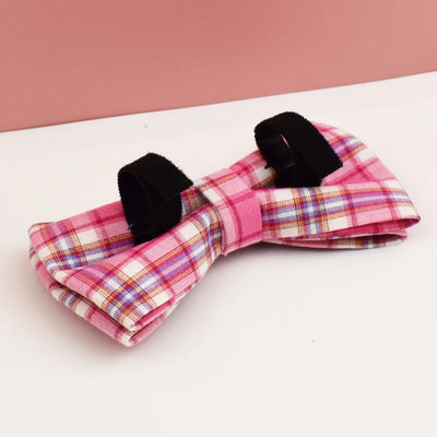 Ensemble Collier Harnais Laisse Carreaux Gravé Chien