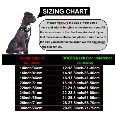 Collier Chaîne Gourmette Inox 32 mm Cane Corso Rottweiler