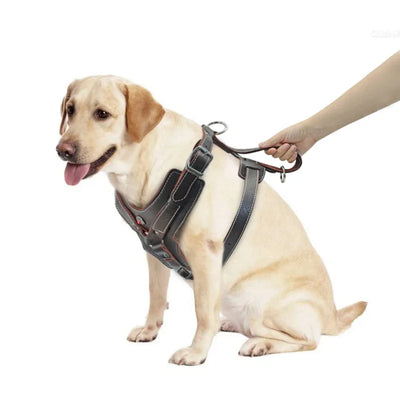 Harnais Grande Taille Poignée de Contrôle Labrador Pitbull