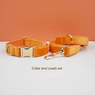 Collier et Laisse Velours Orange Personnalisé Chien