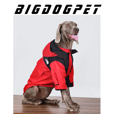 Manteau Imperméable à Capuche Zippé Gros Chien