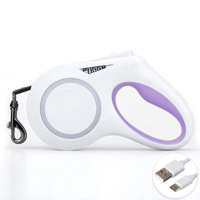 Laisse Rétractable LED 5m pour Chien