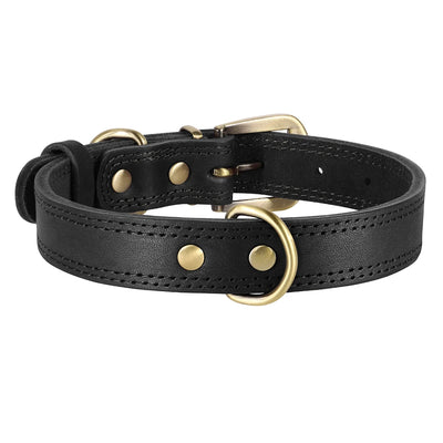 Collier Cuir Véritable Double Anneau Boucle Laiton Pitbull Chien
