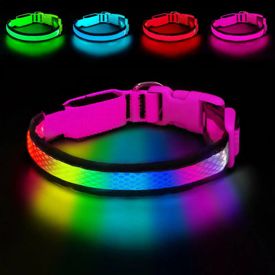 Collier LED Rechargeable Nylon Doux pour Chien