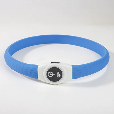 Collier LED Étanche Grand Chien