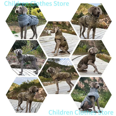 Manteau Épais Réfléchissant Doublé Polaire Lévrier Whippet