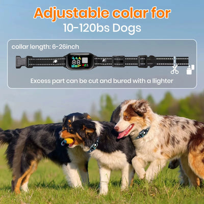 Collier Dressage IA Gros Chien 1000m IPX7