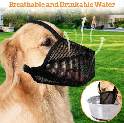 Muselière Chien Maille Souple Anti-Ramassage Labrador