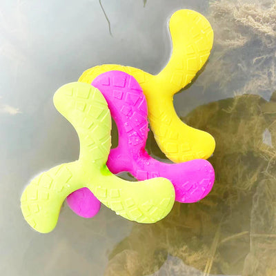Jouet Boomerang Couineur Gros Chien Triangle Flottant