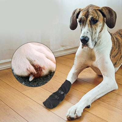 Botte Récupération Pattes Gros Chien Imperméable