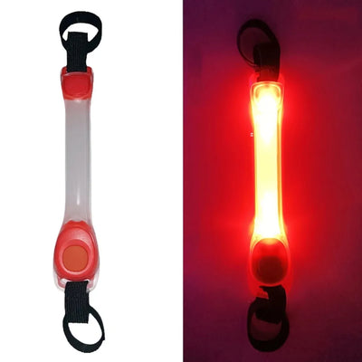 Collier Lumineux Étanche Anti-Perte pour Chien