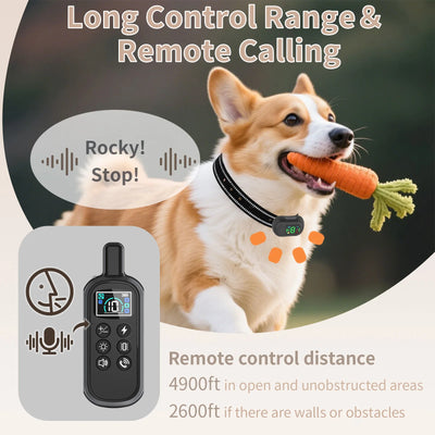 Collier Dressage Appel Vocal 4900ft Gros Chien
