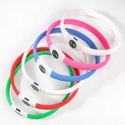 Collier LED Étanche Grand Chien