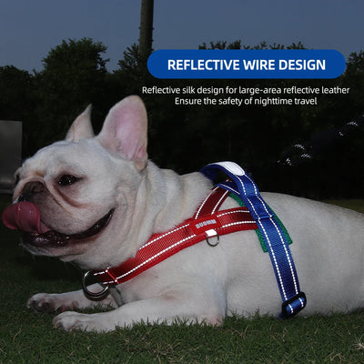 Harnais Chien Style Selle Réfléchissant Petit et Moyen Gabarit