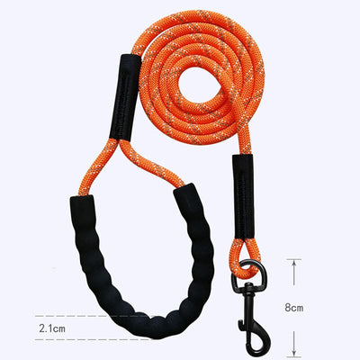 https://cdn.shopify.com/s/files/1/0763/9767/4819/files/S5f3dbd7288dc413e9c233009d4c73724Z.jpg?v=1691595590