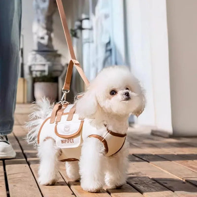 Harnais de Portage Petit Chien Poignées Réglable 10 kg