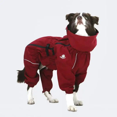 Manteau Imperméable Combinaison Intégrale Col Haut Border Collie