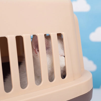 Cage de Transport Chien Avion Portable Aérée
