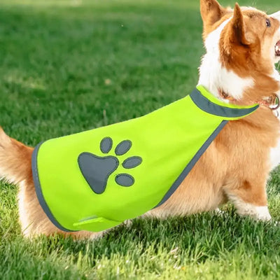 Gilet de Sécurité Réfléchissant Haute Visibilité pour Chien